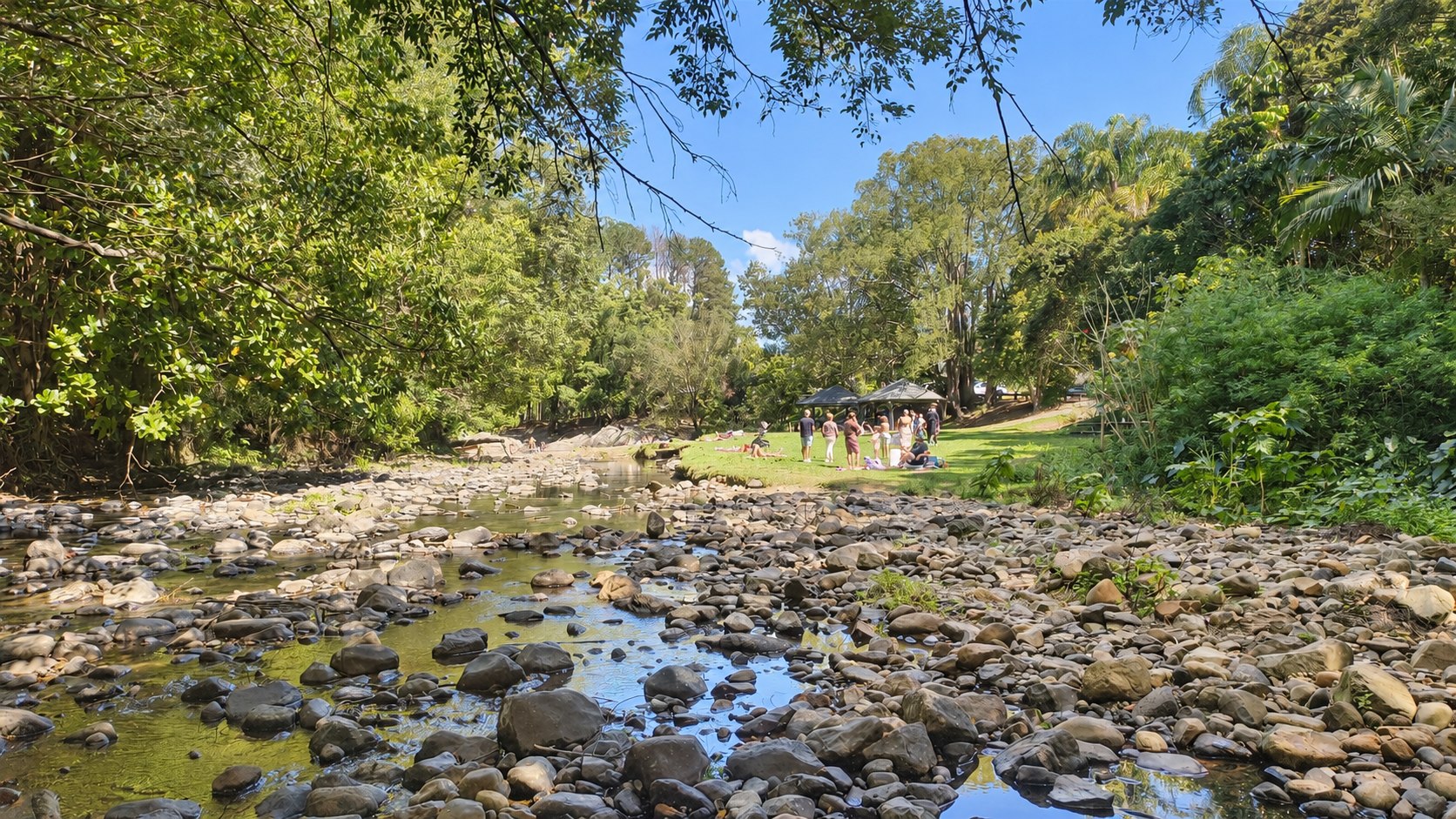 Sunlit Currumbin creek, rocks and subtropical trees with a small group on the distant lawn